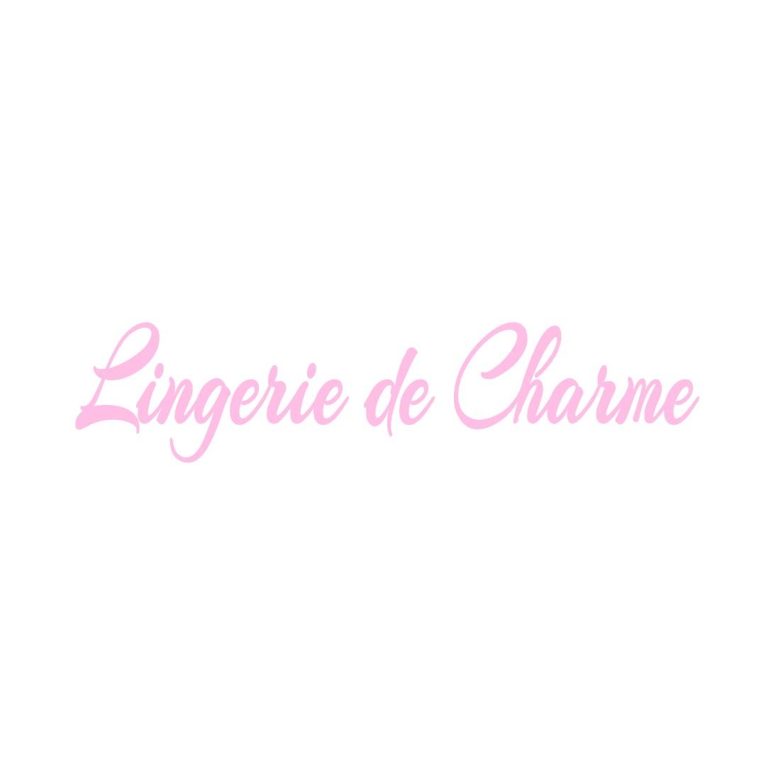 LINGERIE DE CHARME PARIS-3
